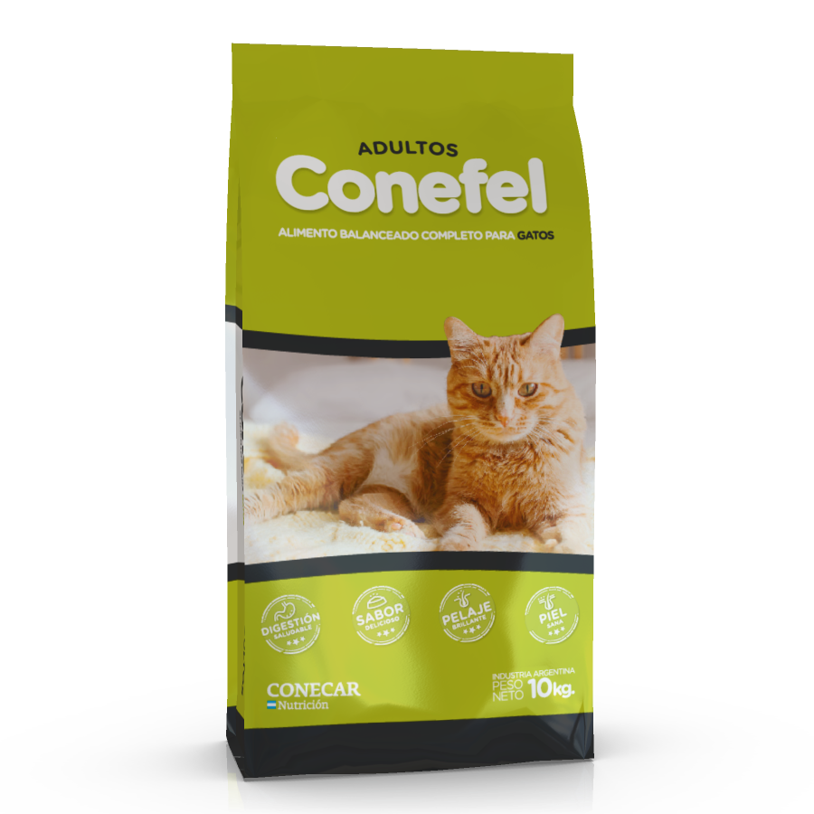 Conefel