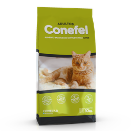 [9-01-01B] Conefel